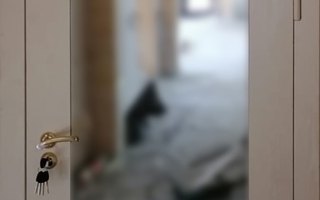 стальная дверь с зеркалом и одним замком